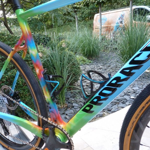 prorace desert fox x - Cycling Lampaert